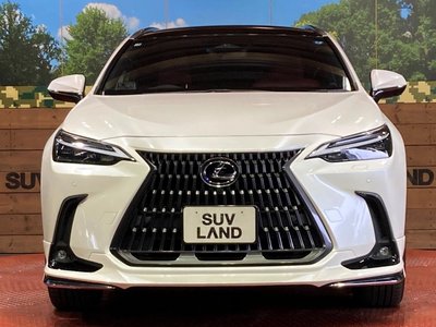 2023 Lexus NX — миниатюра 14