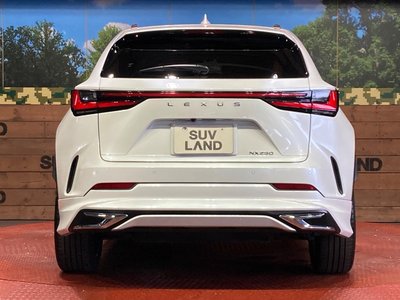 2023 Lexus NX — миниатюра 15