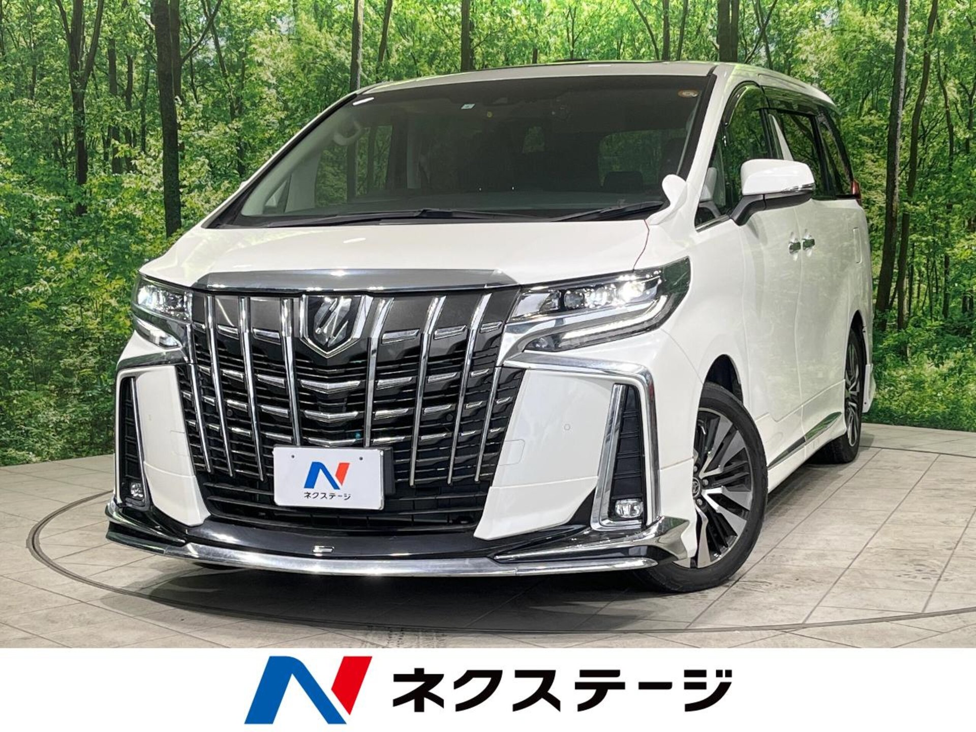 TOYOTA ALPHARD - View 1