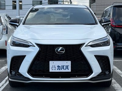 LEXUS NX F SPORT - 2