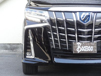 TOYOTA ALPHARD - 10