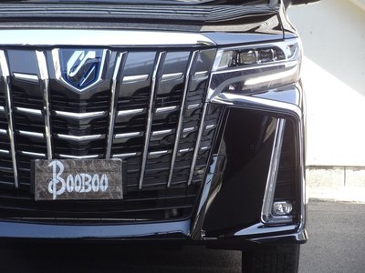 2023 TOYOTA ALPHARD — миниатюра 11