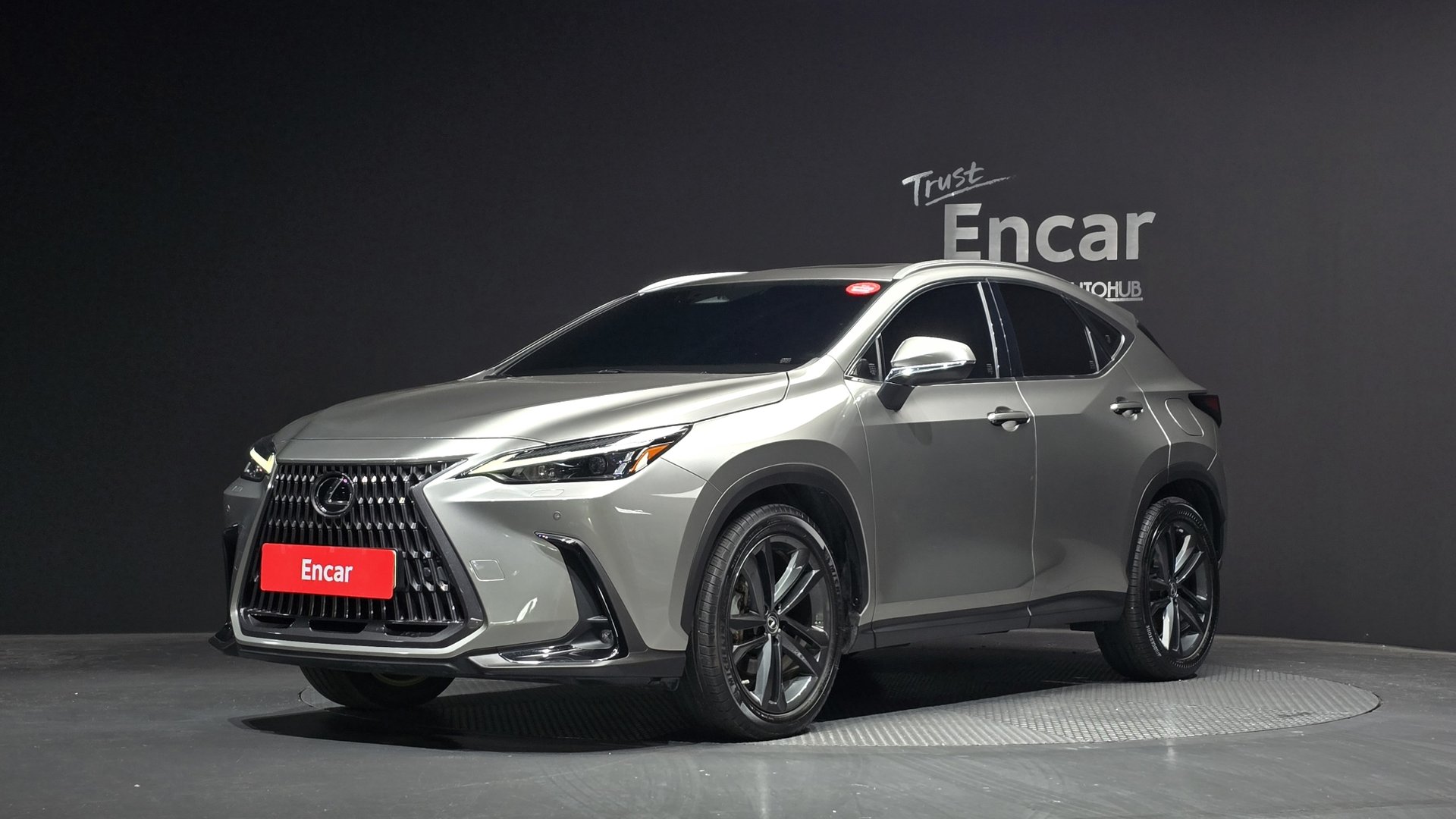 LEXUS NX - View 1