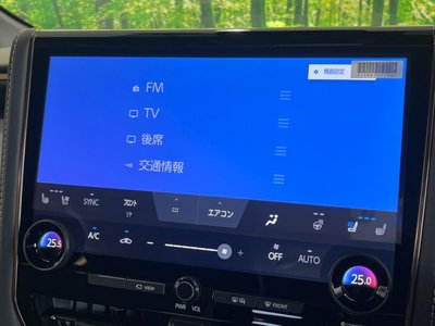 2024 Toyota ALPHARD 缩略图 28