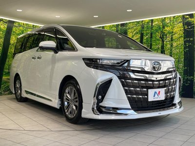 2024 Toyota ALPHARD 缩略图 66