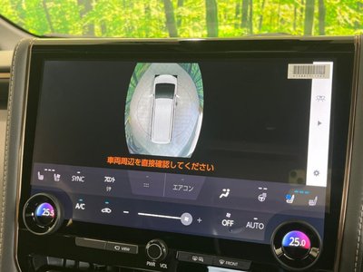 2024 Toyota ALPHARD 缩略图 31