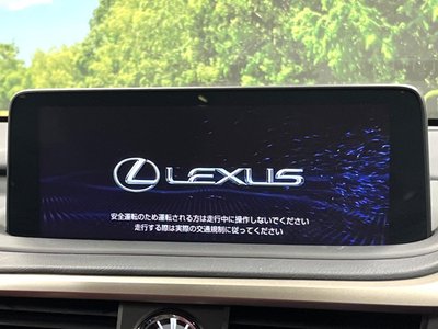 2020 Lexus RX photo 5