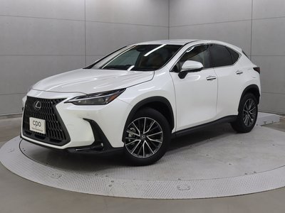 LEXUS NX - 1