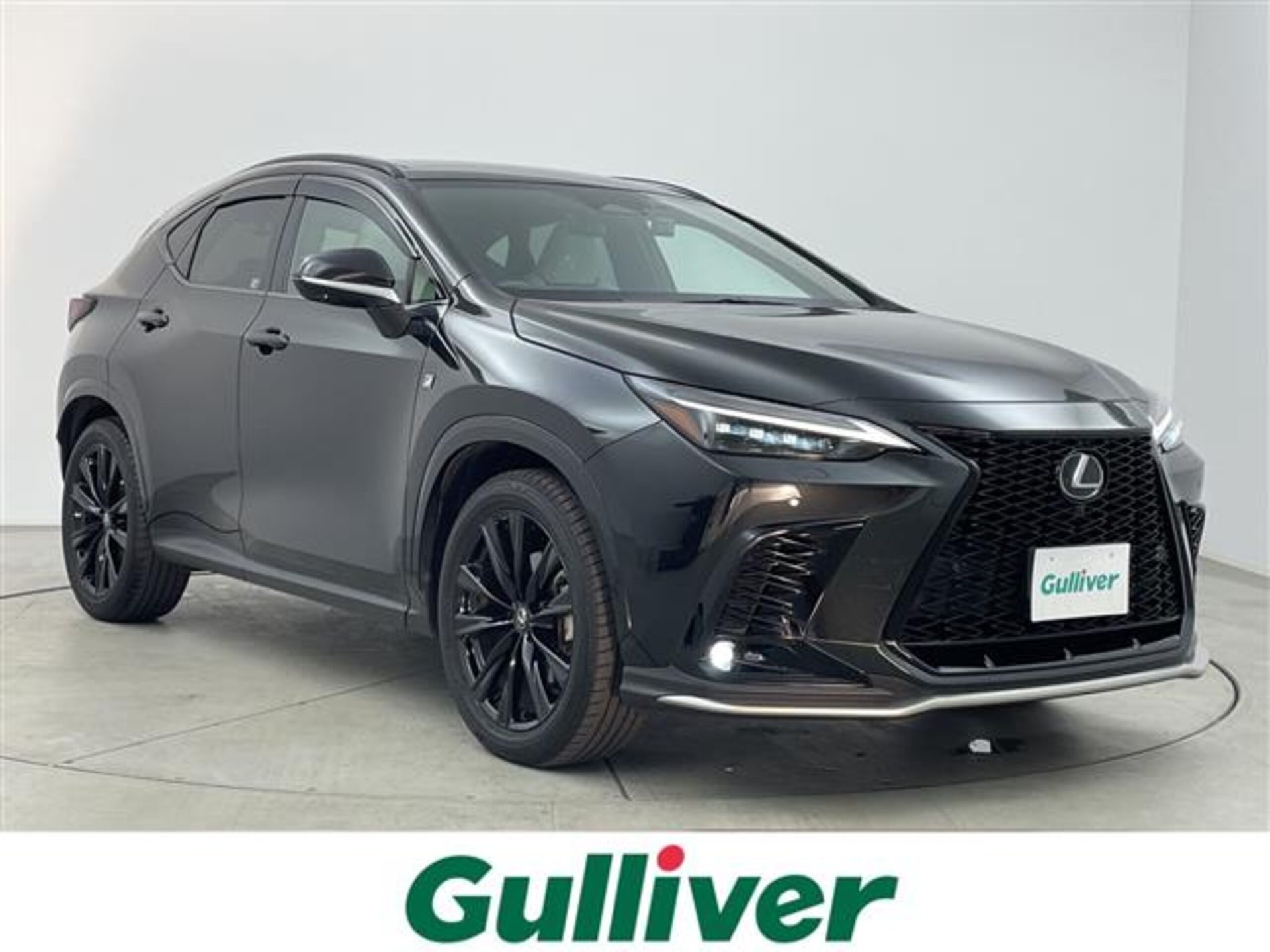 LEXUS NX - View 1