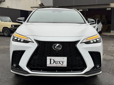 LEXUS NX - 10