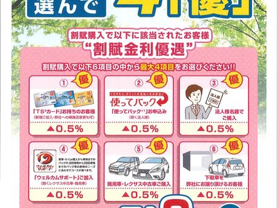2024 Toyota LAND CRUISER 250 照片 2