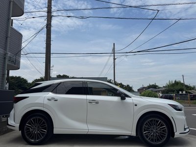 2026 Lexus RX photo 9