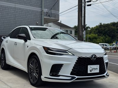 2026 Lexus RX photo 6