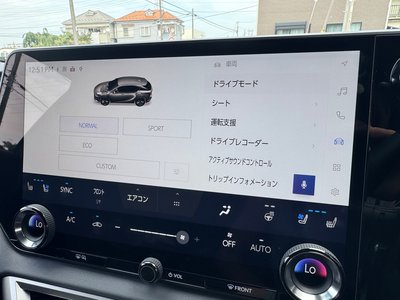 2026 Lexus RX thumbnail 20