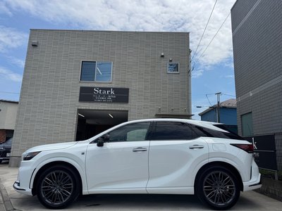 2026 Lexus RX photo 8