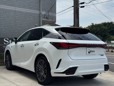 2026 Lexus RX photo 10