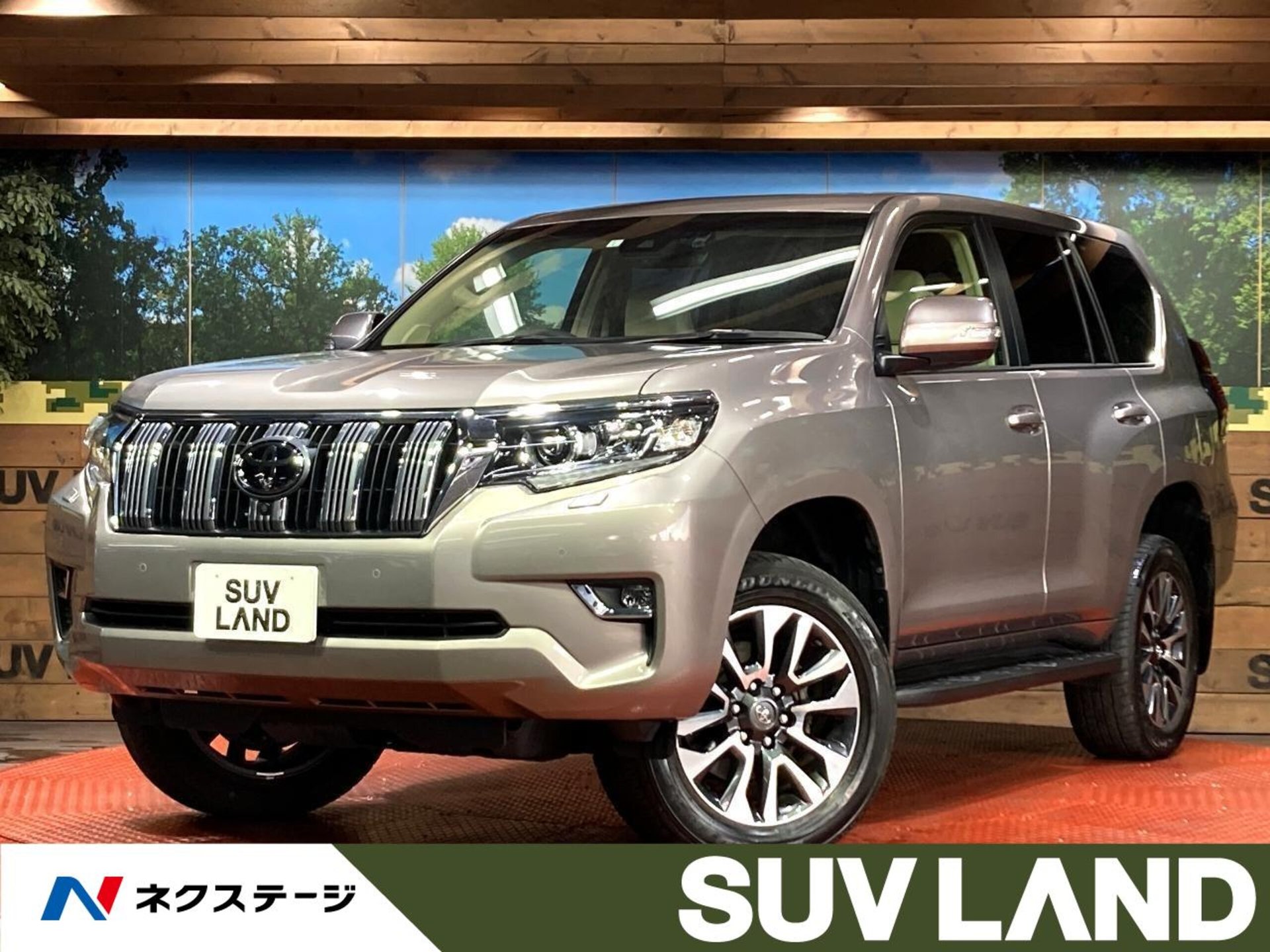 TOYOTA LAND CRUISER PRADO - View 1