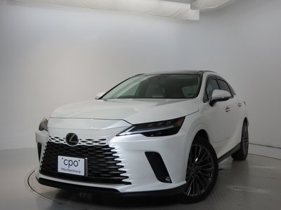 LEXUS RX - 6