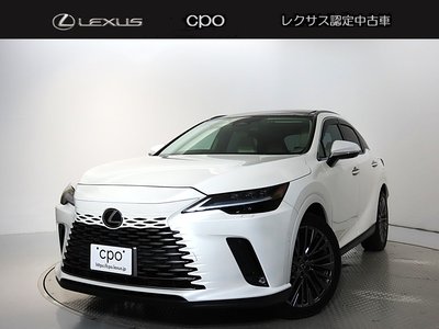 LEXUS RX - 1