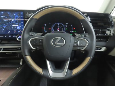 LEXUS RX - 10