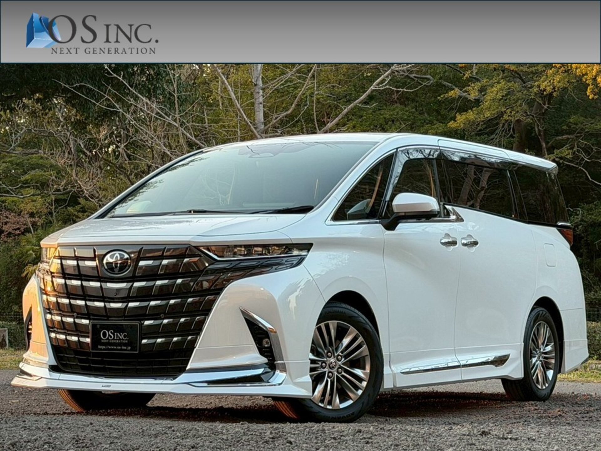 TOYOTA ALPHARD - View 1