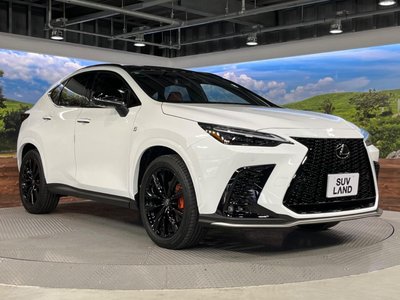 2026 Lexus NX — миниатюра 17