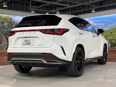 2026 Lexus NX — миниатюра 25