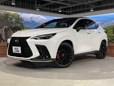 2026 Lexus NX — миниатюра 22