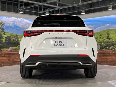 2026 Lexus NX — миниатюра 16