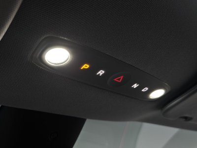 2025 Tesla MODEL Y thumbnail 24