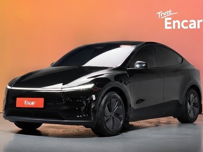 2025 Tesla MODEL Y photo 1