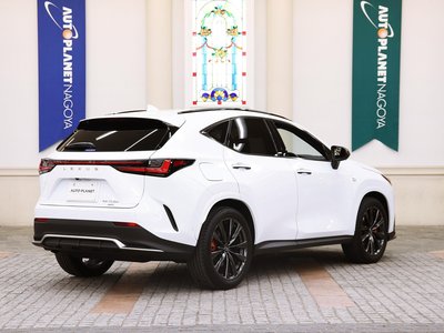 LEXUS NX - 8