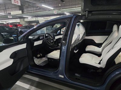 2026 Tesla MODEL X 照片 10
