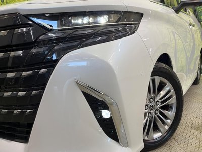 2026 Toyota ALPHARD 缩略图 13
