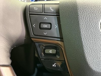 2026 Toyota ALPHARD 缩略图 68