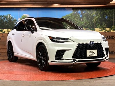 2023 Lexus RX — миниатюра 16