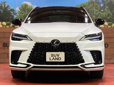 2023 Lexus RX — миниатюра 14