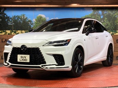 2023 Lexus RX — миниатюра 26