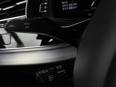 2025 AUDI Q8 缩略图 27