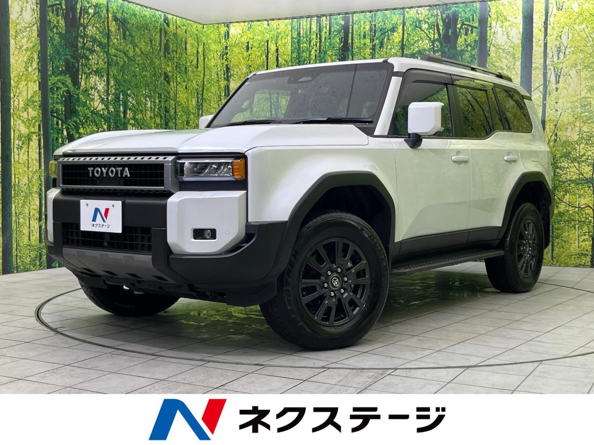 TOYOTA LAND CRUISER 250 - View 1