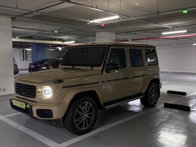 MERCEDES-BENZ G-CLASS - 1