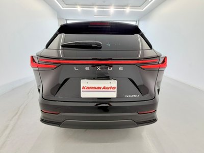 LEXUS NX - 3