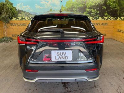 صورة مصغرة 62 لـ 2025 Lexus NX