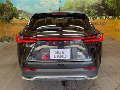 صورة مصغرة 15 لـ 2025 Lexus NX