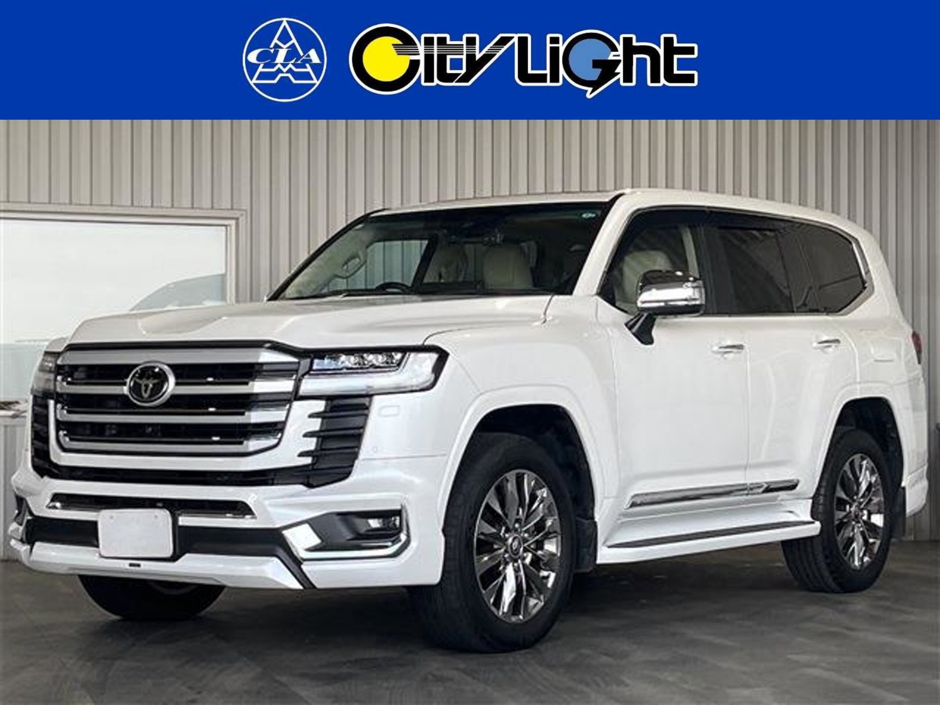 TOYOTA LAND CRUISER 300 - View 1