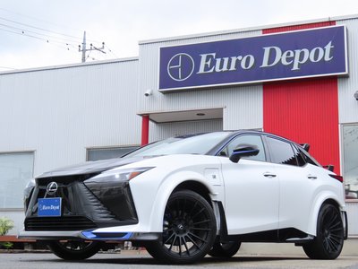 2024 Lexus RZ 照片 1