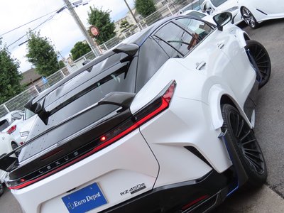 2024 Lexus RZ 照片 7