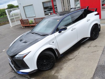 2024 Lexus RZ 照片 3