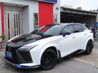 2024 Lexus RZ 照片 2