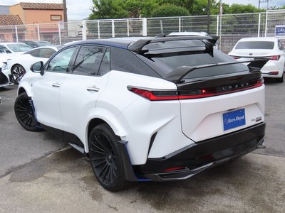 2024 Lexus RZ 照片 9